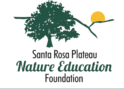 SRP-Foundation-logo.png