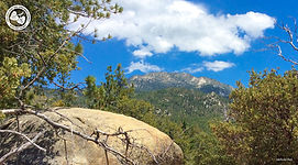 Idyllwild_ZoomBackground.jpg