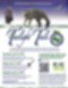 TwilightTails 8.5x11 flyer.jpg