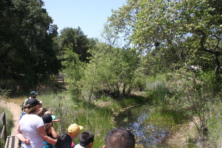 Children learn about the reserve