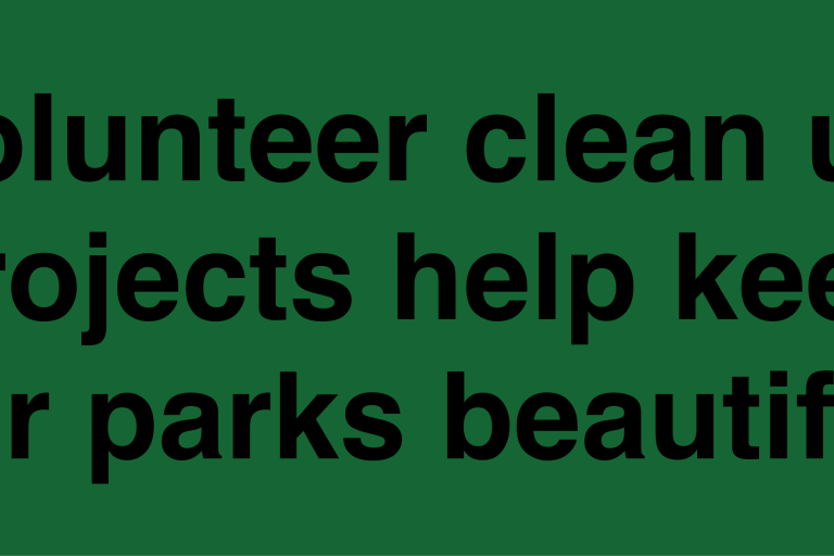 Volunteer clean up projects help keep our parks beautiful.