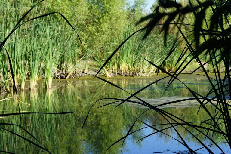 Rancho Jurupa Lake