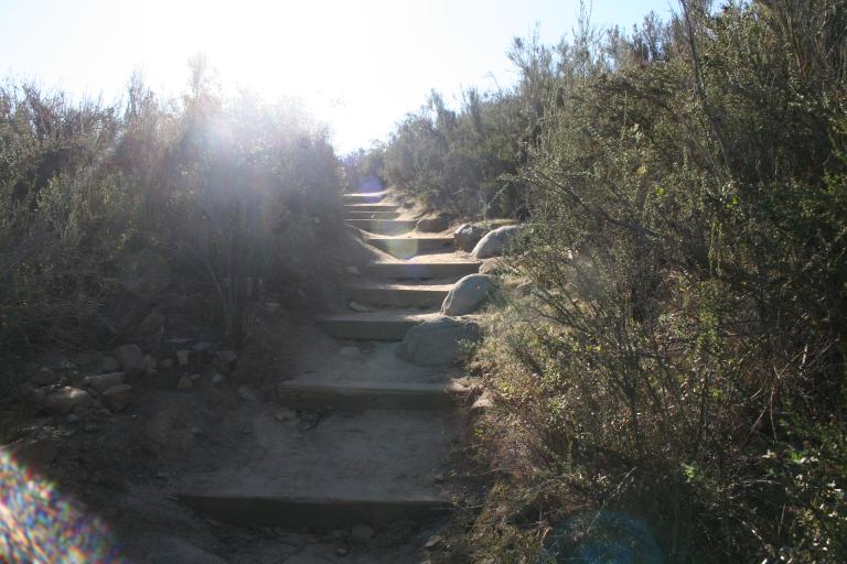 Trail pathway along stairs
