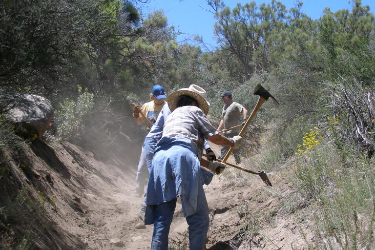 Volunteers clearing a trail