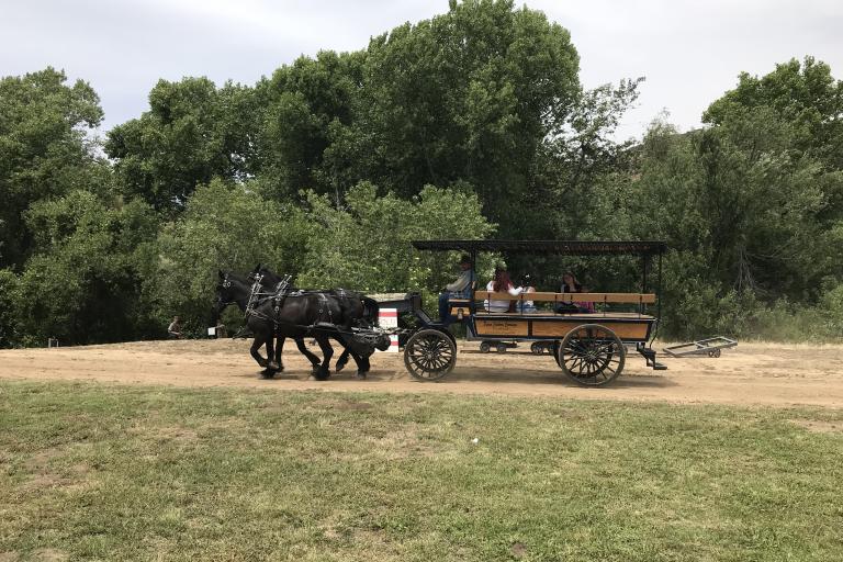 Horsedrawn carriage ride at Gilman