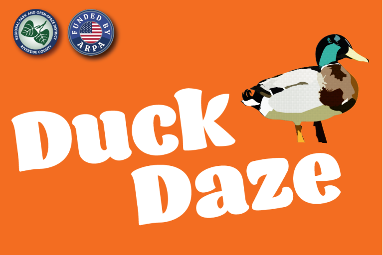 duckdaze2024web