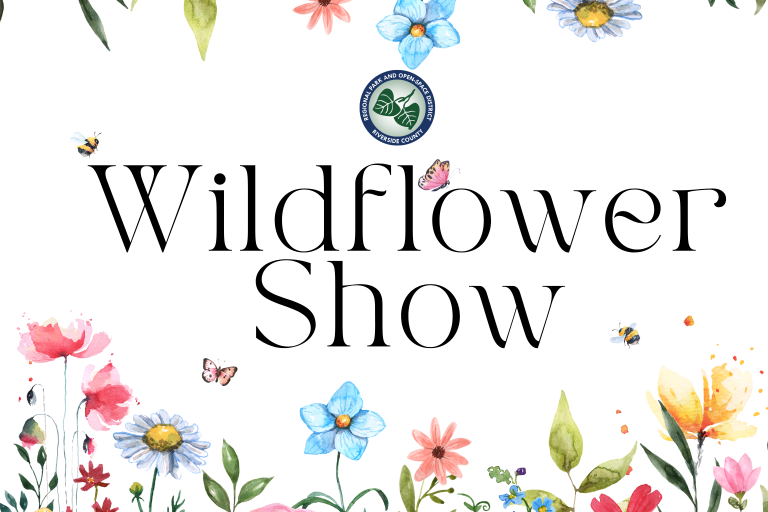wildflower show
