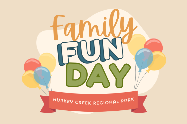 Family Fun Day Web Graphic