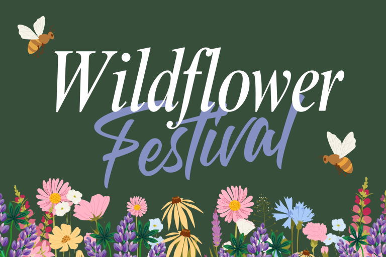 Wildflower Festival Web Graphic