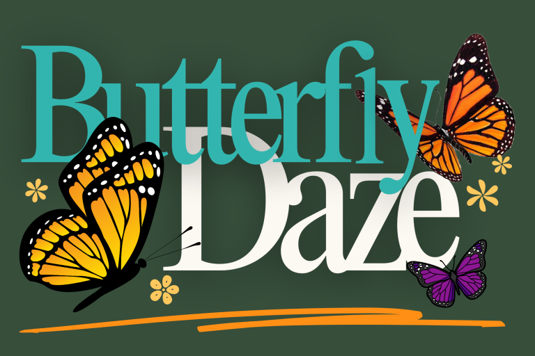 Butterfly Daze Web Graphic