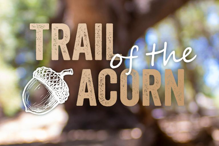 Trail of the Acorn 