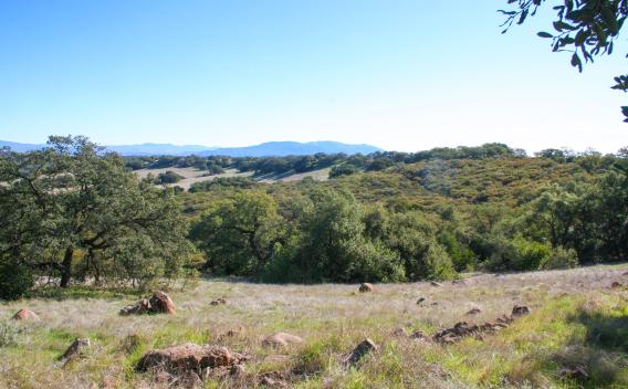 Santa Rosa Plateau Wildlife Area