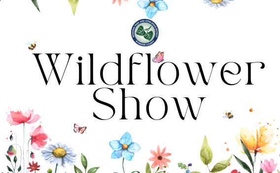 wildflower show