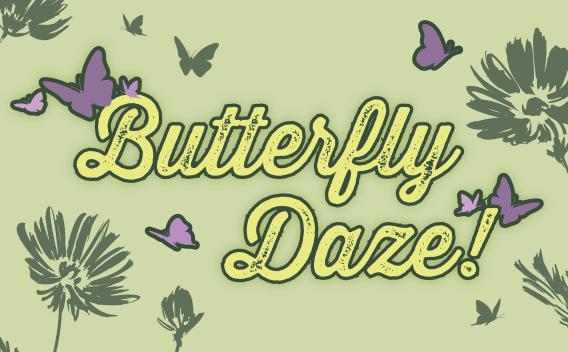 butterfly