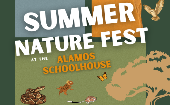 Summer Nature Fest Web Graphic.png