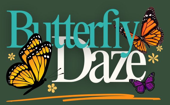Butterfly Daze Web Graphic