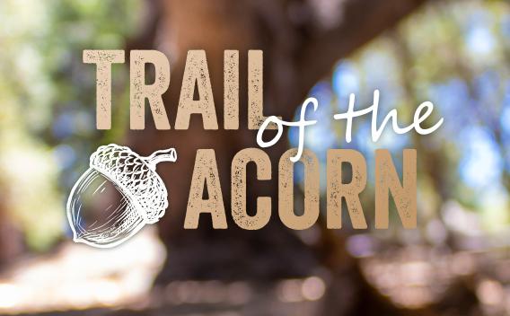 Trail of the Acorn 